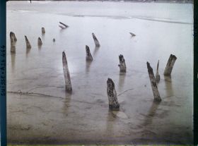 Image représentant Site palafittique préhistorique des Alpes, pieux en bois visibles lors de la baisse des eaux après la grande sécheresse de 1921