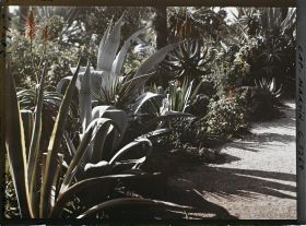 Image représentant le Jardin