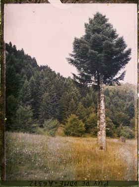 Image représentant France