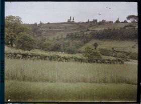 Image représentant France, Cadouin, Paysage près de Valade, seigle au 1er plan, vigne, à côté champs cultivés