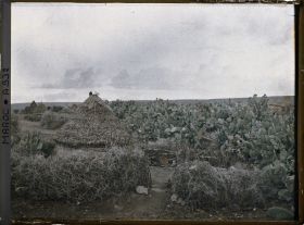 Image représentant Un douar du nouaïl
