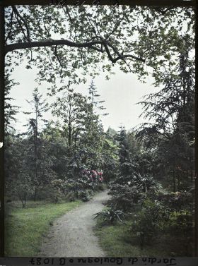 Image représentant Chemin menant vers le marais