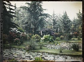 Image représentant Massifs fleuris de rhododendrons et d'azalées bordant l'est du marais