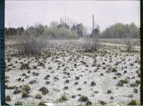 Image représentant L'île des lapins, voisine de l'île Saint-Pierre
