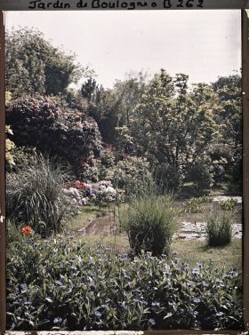 Image représentant Massif de bleuets proche d'un bassin situé au nord du marais, vu en direction de l'est