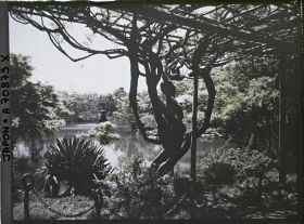 Image représentant Hibiya-koen (parc de Hibiya) : l'étang Shinkei