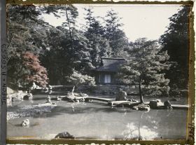 Image représentant Villa impériale de Katsura (Katsura-Rikyu) : jardin devant le pavillon de thé Shôkintei