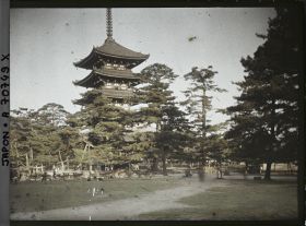 Image représentant Temple Kôfuku-ji : la Gojunoto (pagode à cinq étages) et les daims sacrés (shika)