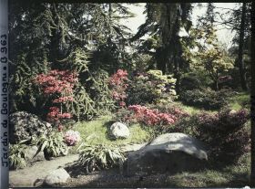 Image représentant Pierres, azalées et érables rougeoyants, situés à l'entrée du " sanctuaire japonais "