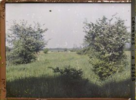 Image représentant Pâturage aux environs d'Osmanville