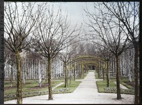 Image représentant Axe central du verger-roseraie vu en direction du jardin anglais depuis le rond-point côté dépendance