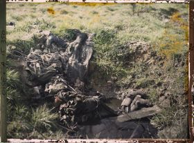 Image représentant France, Les Bocages, Guerre Quatre cadavres allemands dans un trou d'Obus au Marais et n'ayant pas été enterrés