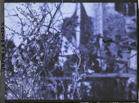 Image représentant Temple Daishi (?) : Cerisier en fleurs devant une porte de temple