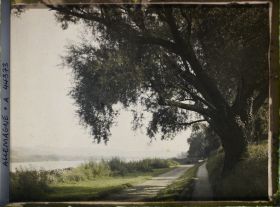 Image représentant Allemagne, Mehlem, Paysage le long du Rhin