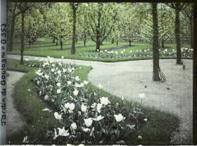 Image représentant Coin nord-ouest du verger-roseraie et du rond-point proche de la dépendance, vu en direction de l'est
