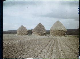 Image représentant Ile de France, Mafliers, Meules de blé et labourage de la terre