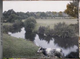 Image représentant Les bords de la Vilaine