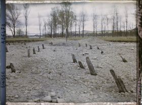 Image représentant Site palafittique préhistorique des Alpes, pieux en bois visibles lors de la baisse des eaux après la grande sécheresse de 1921