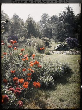 Image représentant Massif fleuri, proche de la bande gazonnée séparant les " étangs " du marais, vu vers l'est, sud-est