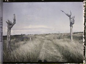Image représentant France, Vienne le Château , Aspect de la route de Servon vers le bois de la Gruerie et terrain de combat