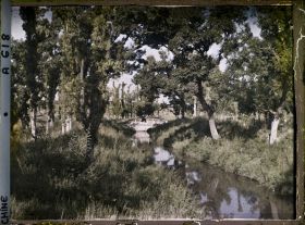 Image représentant Konglin, la nécropole de la famille de Confucius