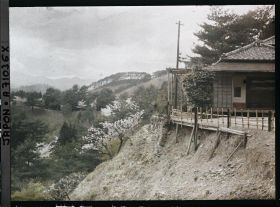 Image représentant Cerisiers en fleurs et paysages de montagne