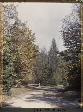 Image représentant Une allée du parc du château des Fontaines