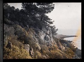 Image représentant Pin et rochers fleuris surplombant la pointe du cap et le sentier des douaniers près de la villa Kahn