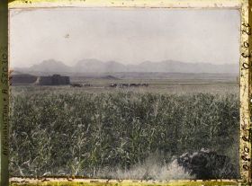 Image représentant Vue vers Le caravansérail