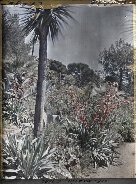 Image représentant le Jardin