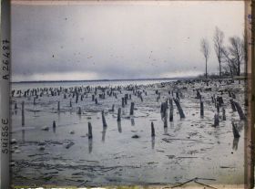 Image représentant Site palafittique préhistorique des Alpes, pieux en bois visibles lors de la baisse des eaux après la grande sécheresse de 1921