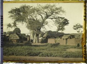 Image représentant Baobab dans le village