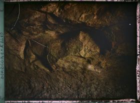 Image représentant France, Les Eyzies, L'abri sous roche de Laussel le cheval sculpté avec coups de pierres de silex