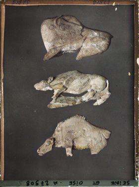 Image représentant France, St Germain-en-Laye, Bison à tête retournée 56873, Hyène en ivoire 60362, Bison tête basse 60361. La Madeleine