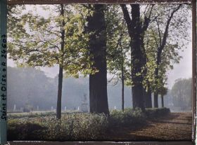 Image représentant Le Tapis Vert dans le parc