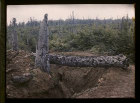 Image représentant France, Bois le Prêtre, Tranchée Française de 1ère ligne