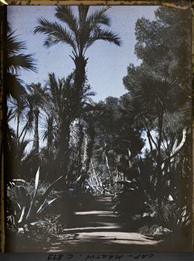 Image représentant Une allée du jardin