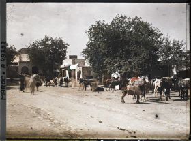 Image représentant Le souk du maréchal-ferrant