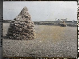 Image représentant Bottes de foin dans un champs