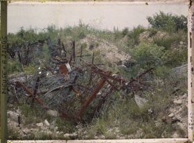 Image représentant France, Bois Brûlé, Terrain organisé à la Tête à Vache