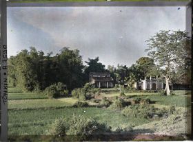 Image représentant Des rizières près d'un temple, le long du chemin qui borde le Fleuve Rouge en aval de la capitale