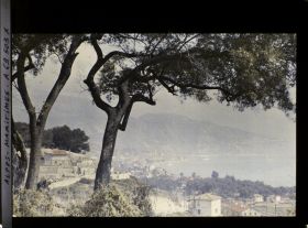 Image représentant Pin soulignant une vue panoramique de Menton et de ses environs