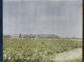 Image représentant Belgique, Locre, Une vue sur le Mont Rouge