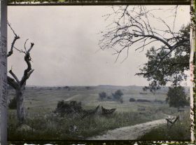 Image représentant France, Vienne le Château, Cote 177, au fond bois des Autry