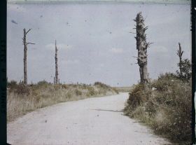 Image représentant France, Maurepas, La route de Maurepas à Combles, dans sa traversée du Bois Douage