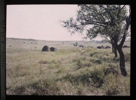 Image représentant France, Marre, Les pentes du Bois Bourru  Dans le fond, le bois Bourru