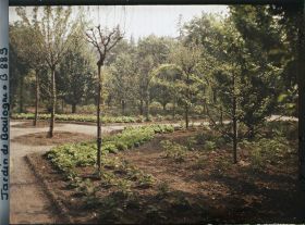 Image représentant Légumes dans une partie ouest du verger-roseraie, vue en direction de la forêt bleue ?