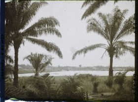 Image représentant Paysage en direction de la lagune, à Porto-Novo ?