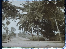 Image représentant L'avenue Mallan ? Vue vers la lagune ?