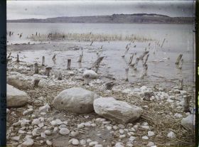 Image représentant Site palafittique préhistorique des Alpes, pieux en bois visibles lors de la baisse des eaux après la grande sécheresse de 1921